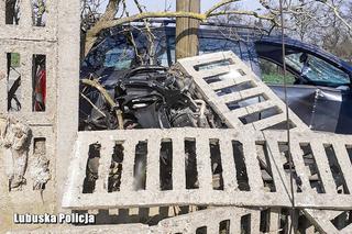 Międzyrzecz: Śmiertelnie POTRĄCIŁ, był na wolności, teraz trafi do ARESZTU