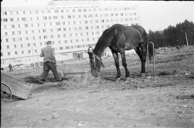 Poznaj nieopowiedziane historie Placu Grunwaldzkiego we Wrocławiu