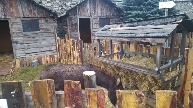 Będzińska Szopka Bożonarodzeniowa