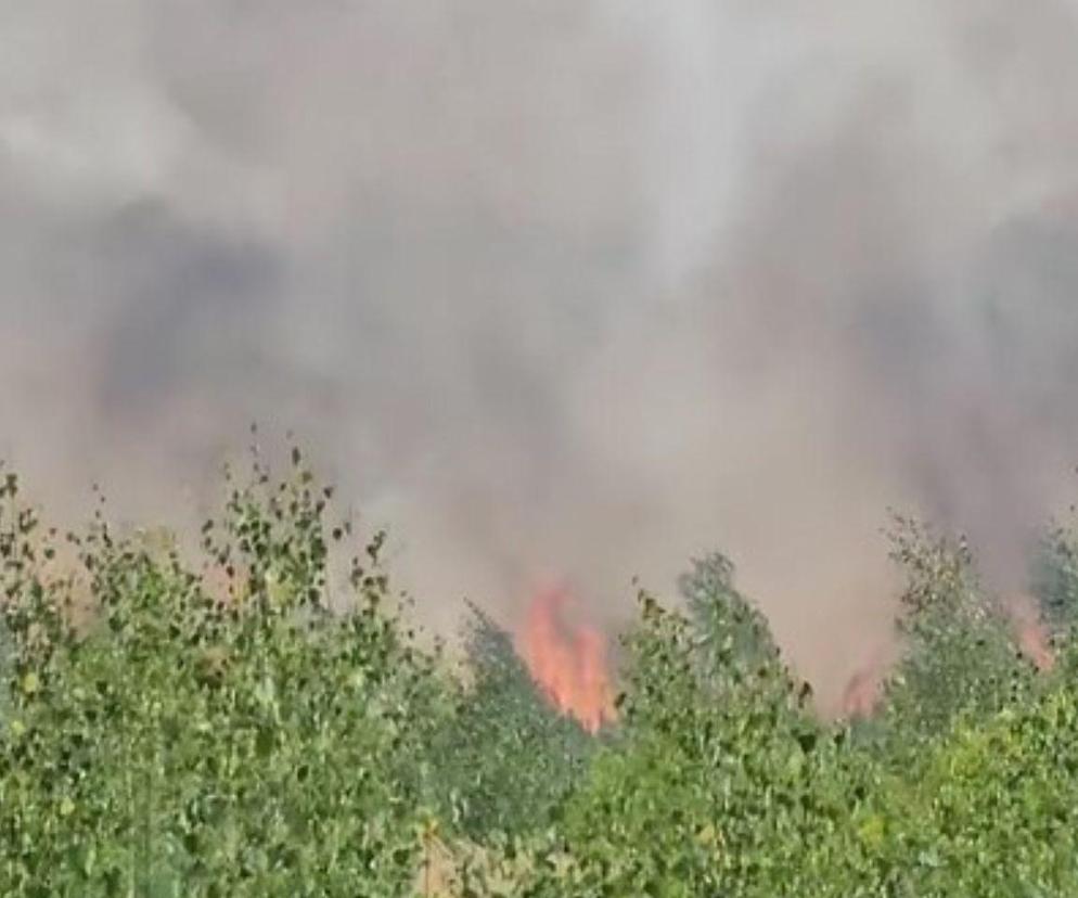 Pożar pod Gnieznem 