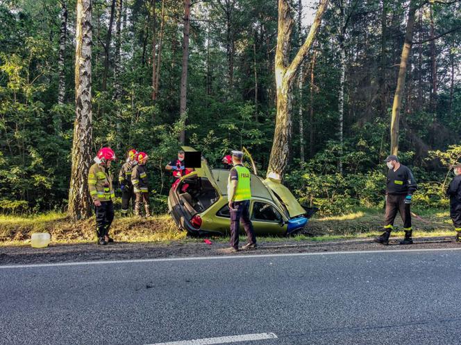 Bez prawa jazdy i na podwójnym gazie wjechał w drzewo. Wszystko na oczach policjanta [FOTO]