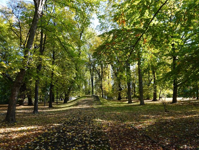 Złota polska jesień w parku na Bronowicach w Lublinie