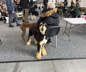 ZooPark w Lublinie. Dzień drugi