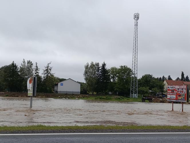 Ząbkowice Śląskie (woj. dolnośląskie)