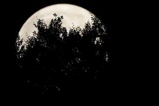 Bajkowa pełnia Księżyca w Rabskiej Dolinie