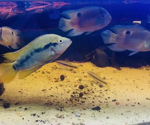 Rozmawiamy z Tomaszem Wiśniewskim, założycielem Aqua Dreams Bydgoszcz
