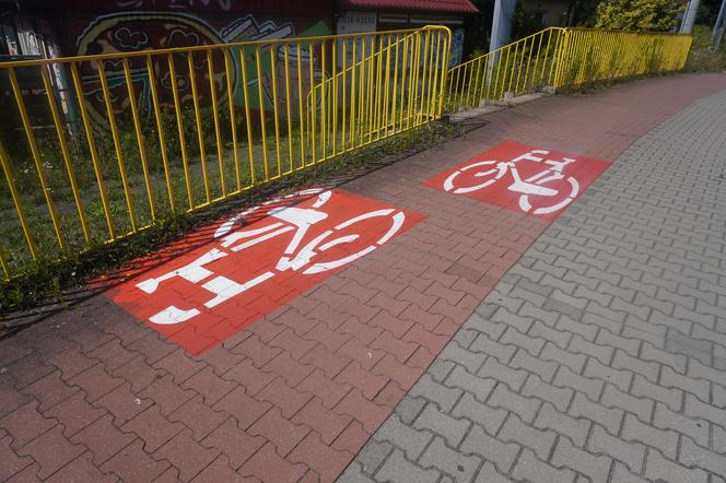 Najbardziej nietypowa ścieżka rowerowa w Szczecinie