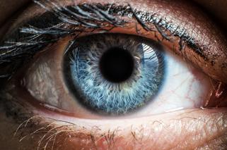 Jak działają nasze oczy? 