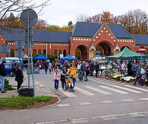 1 listopada na Cmentarzu Centralnym w Szczecinie