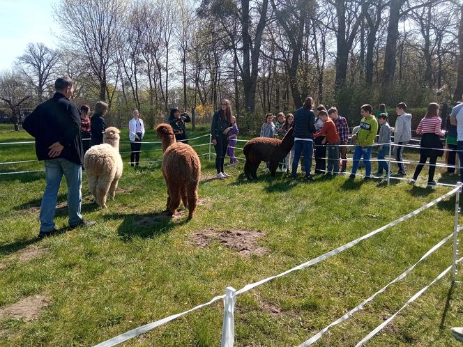 II Grudziądzki Piknik Naukowy