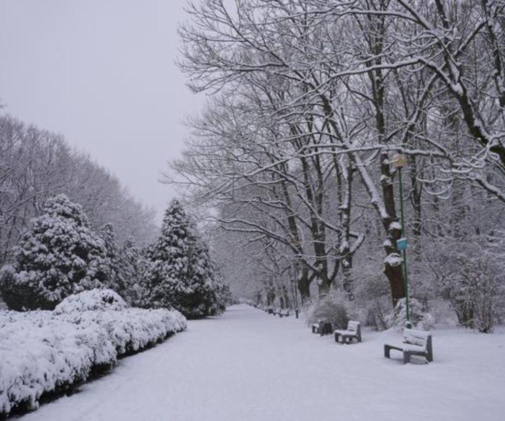 Pogoda na ferie zimowe na Podlasiu. Czy w Białymstoku i okolicach będzie śnieg? Sprawdziliśmy!