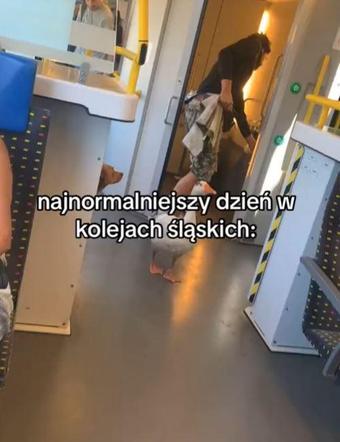 Gęś w pociągu Kolei Śląskich i na dworcu w Katowicach