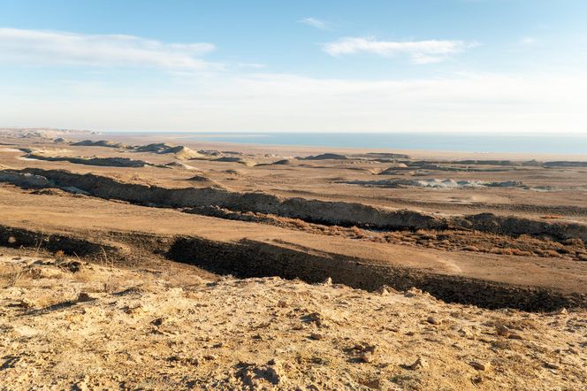 To największa katastrofa ekologiczna w dziejach. "Każdy podmuch wiatru jest potencjalnym atakiem chemicznym"