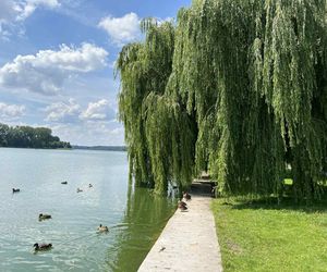 Jezioro Nowogardzkie