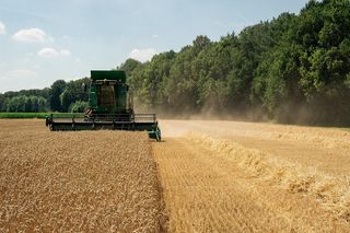 Przechowywanie zboża zamiast szybkiej sprzedaży. To może podnieść zysk nawet o 20 procent