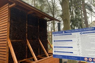 Na Sławinku będzie można zdrowo odetchnąć. W Lublinie powstała pierwsza tężnia solankowa