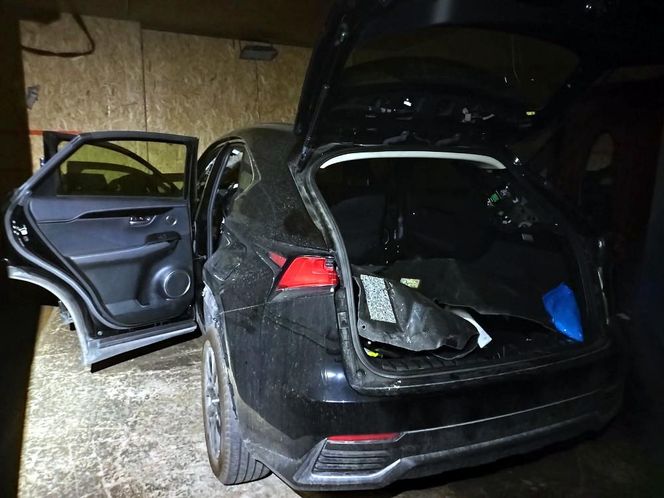 Boss gangu złodziei japońskich aut wpadł w "dziupli". Grupa działała na terenie Warszawy