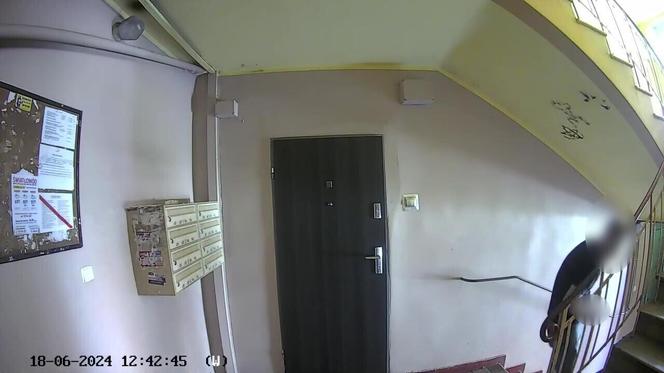 Mieszkańcy Rudy Śląskiej w Szoku. Mężczyzna zabawiał się na klatce schodowej. Wszystko nagrano
