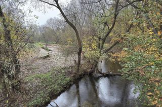 Zbiornik Rzymówka nad Kaczawą