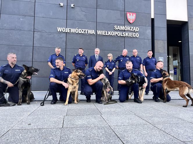 Gala zakończenia wojewódzkich zawodów kynologicznych