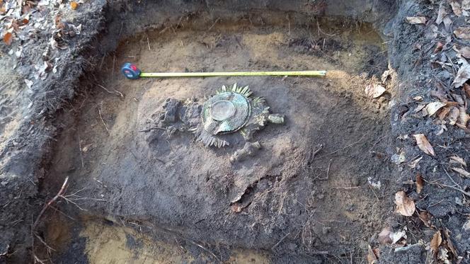 Tajemnicze odkrycie archeologiczne niedaleko Lubaczowa