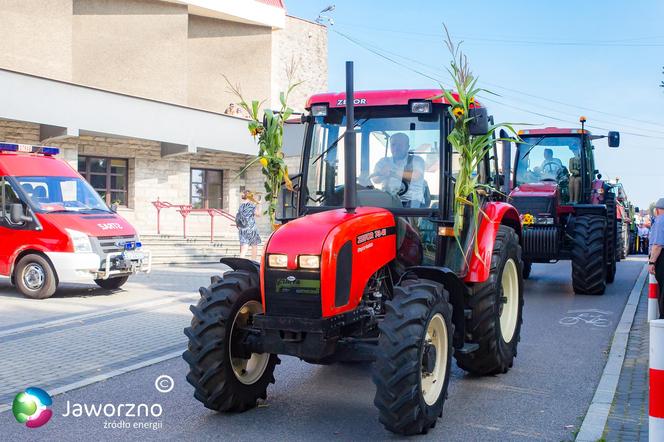 Dożynki miejskie w Jaworznie