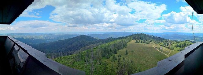 Widok z wieży widokowej na Lubaniu