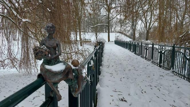 Zamojski Park pod śniegiem