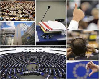Wybory do Parlamentu Europejskiego (3)