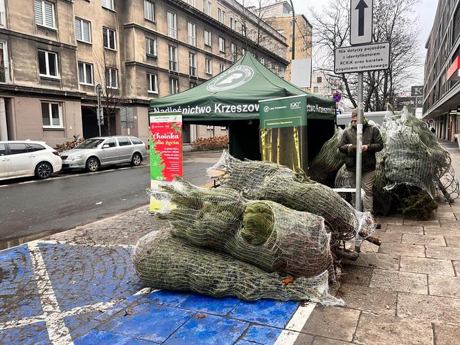 Akcja "Choinka dla życia" w Krakowie