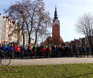Kolejna elbląska Miejska Wycieczka Rowerowa. Tym razem celem będzie Mała Holandia