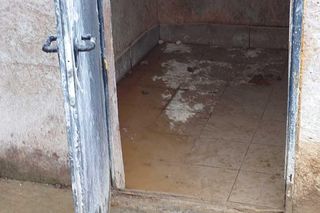 Kilkadziesiąt psów żyło w skandalicznych warunkach. Były przetrzymywane we własnych fekaliach