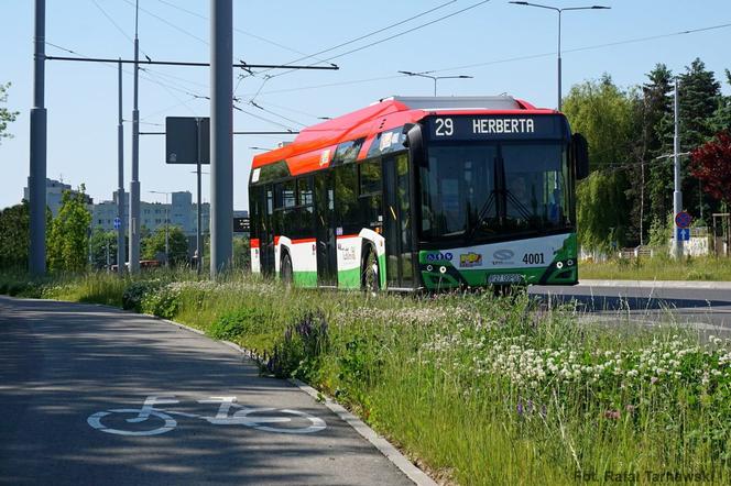 Autobus w Lublinie (zdjęcie ilustracyjne)