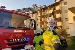 Mały kotek był uwięziony w rynnie na dachu! Na miejsce wezwano strażaków [ZDJĘCIA]