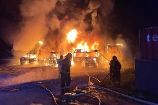 Ogromny pożar na Pomorzu. Spłonęło 9 ciężarówek 