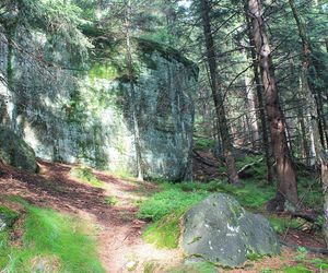 Błędne Skały to polska wersja Bryce Canyon. Są zaledwie kilka godzin od Wrocławia