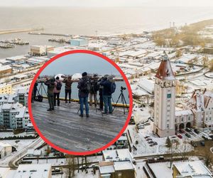 Fotografowie z całej Polski zjeżdżają w tą okolicę. Nietypowa mewa na Bałtyku, wszyscy chcą ją zobaczyć!