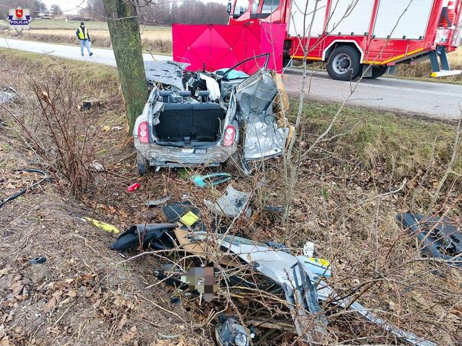 Makabryczny wypadek pod Zamościem. 19-latek wylądował na drzewie i zginął. Miał prawo jazdy od dwóch miesięcy!