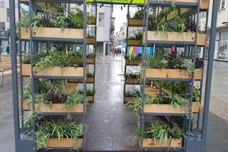 Zielona lauba w Katowicach