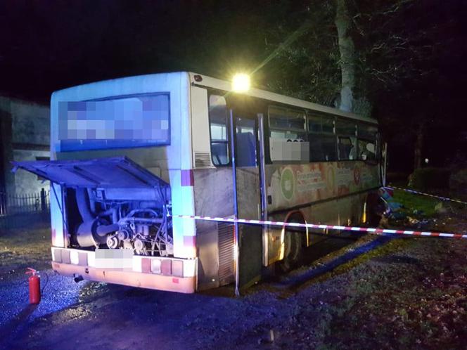 Autobus z dziećmi uderzył w drzewo! Są ranni. Dramat w Trzebiechowie [GALERIA]