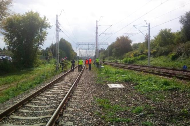 Policjanci i strażacy pracujący na miejscu tragedii