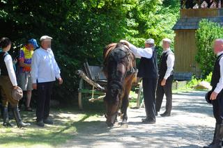 Jarmark Koński w Muzeum Wsi Lubelskiej. Ostre targowanie, próba uciągu i lit-kup na dyszlu [ZDJĘCIA, WIDEO]