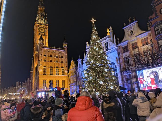 Gdańska choinka rozbłysła. Zobaczcie nasze zdjęcia!