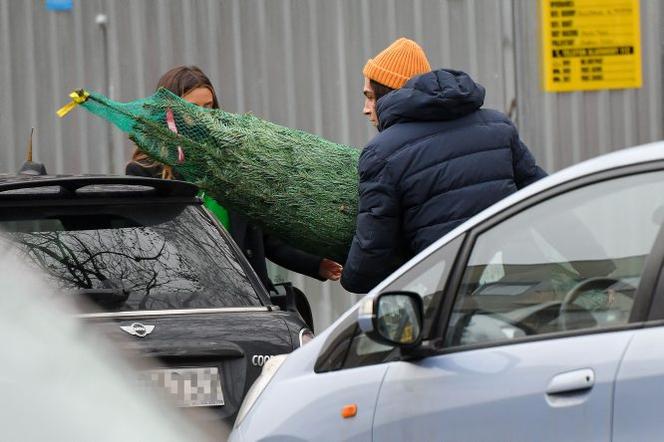 Julia Wieniawa i Nikodem Rozbicki kupili choinkę