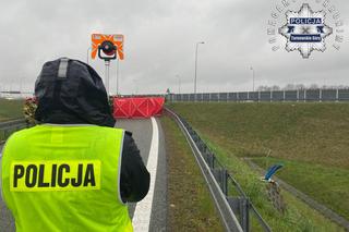 Horror na A1. Dwie osoby zginęły w makabrycznym wypadku busa