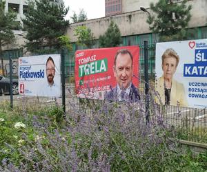 Łódź tonie w plakatach wyborczych. Kto jest odpowiedzialny za ich późniejsze usunięcie?