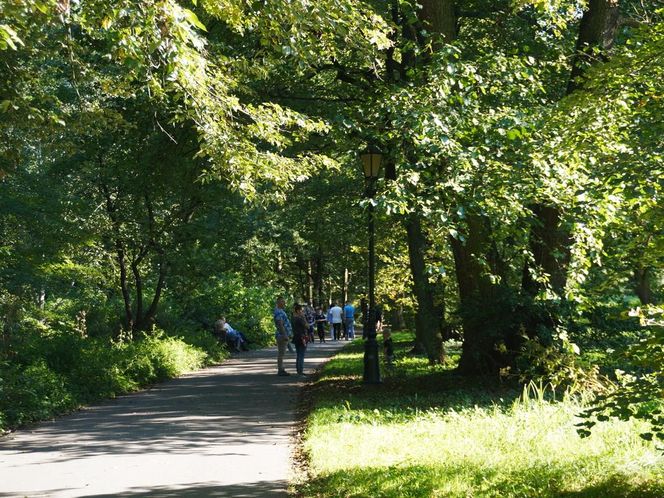 tłumy spokojnie spacerujących spacerowiczów w Pszczynie ZDJĘCIA