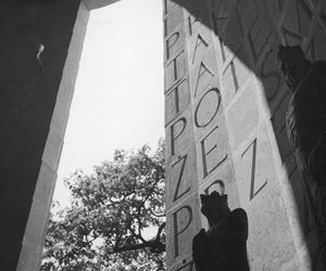 Pawilon polski, Wystawa Światowa w Paryżu w 1937 roku