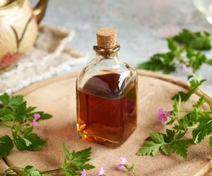 Domowa nalewka z anginki, czyli geranium. Działa wzmacniająco i przeciwbólowo