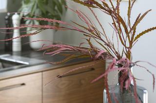 Przytulny dom pod Tarnowem